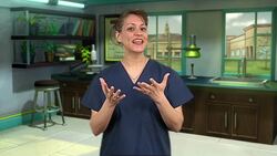 Technology – Good or Bad? Instructional Video