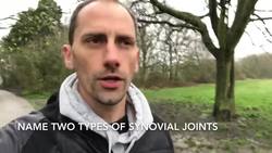 GCSE PE 9-1 5 a day Revision- Joints Vol.10 Instructional Video
