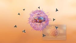 Moderna’s phase-1 trials show experimental coronavirus vaccine can induce immune response Instructional Video