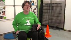 Special Needs Animals Have The Biggest Hearts Instructional Video