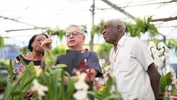Mature African Couple Customer Buying at Flower Market Stock Footage
