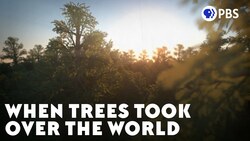 When Trees Took Over the World Instructional Video