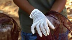 Bushwhacked! - Series 2 - Episode 8 (Brown Snake) Instructional Video