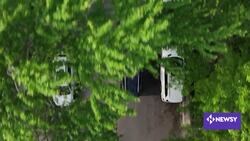 Private Policing Is Rising In Chicago, But Not Everyone Is On Board News Clip