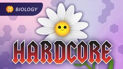 Plant Anatomy & Physiology: Plants Are Hardcore: Crash Course Biology #42 Instructional Video