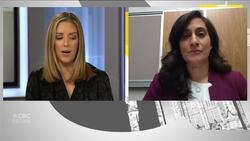 First rapid COVID-19 tests arriving in Canada next week says Anand News Clip