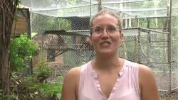 The fight to save endangered animals from smuggling News Clip