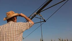 Serious concerned farmer in cornfield with irrigation system Stock Footage