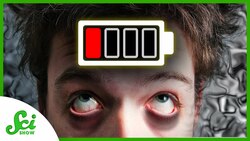 How Do We Know We’re Tired? Instructional Video