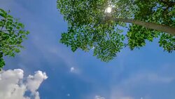 Time laps of field and sky Stock Footage