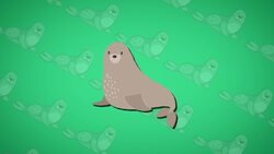 I WONDER - What Is A Selkie? Instructional Video