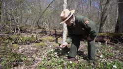 Shenandoah National Park - What's in Bloom at Rapidan Camp? Instructional Video