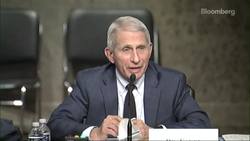 Fauci Caught Calling Senator 'Moron' on Hot Mic News Clip