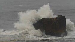 I WONDER - Do Selkies Have Magical Powers? Instructional Video