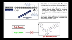 How Does Dairy Cause Inflammation? EXPLAINED Instructional Video