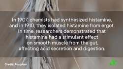 Antihistamines for Everything? Instructional Video