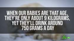 Mammals, Mutants, and… Roaches: The Science of Milk Instructional Video