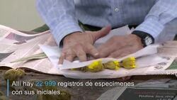 CLEAN : El colombiano que salva la memoria verde de la deforestacion News Clip