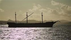 Lady Elizabeth Shipwreck (Stanley). Stock Footage