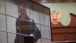 CLEAN : Kremlin critic Navalny loses appeal against nine-year sentence News Clip