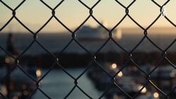 A Century of Keeping Movies Alive, The Magic of Cinema Instructional Video