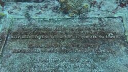 CLEAN : Off Florida, underwater burial ground offers aquatic lifeline News Clip