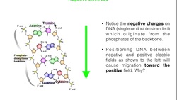 Biotechniques | Principles of Gel Electrophoresis (DNA gels) Instructional Video