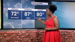 STORM WATCH: Strong to severe thunderstorms possible this afternoon for Brooklyn News Clip