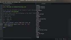 Bash Shell Scripting - Assignment - passwd - Solution Instructional Video