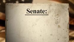 Article I: Legislative Branch Instructional Video