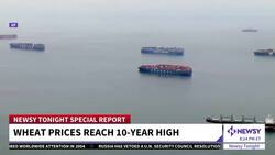 Russia, Ukraine War Could Have Wider Economic Implications News Clip