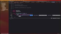 Mastering WidgetKit in SwiftUI 4, iOS 16 with Dynamic Island - Photo Widget Instructional Video