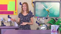 Super Strong Dragonflies! Instructional Video