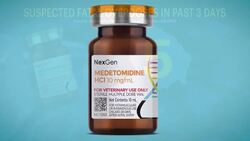 Spike in fatal overdoses in CT prompts Bridgeport nonprofit to issue public health alert News Clip