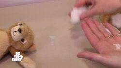 Safety First: Rigorous Testing of Toys and Furniture Before Market Instructional Video