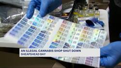 Sheriff's office busts yet another illegal cannabis shop in Sheepshead Bay News Clip