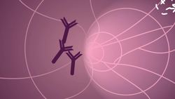 Gene Technology Instructional Video