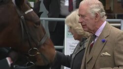 King Charles and Camilla Queen Consort stroke horses in Ballater News Clip