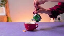 Trash to Treasure: Creative Recycling Hacks for a Greener Home Instructional Video