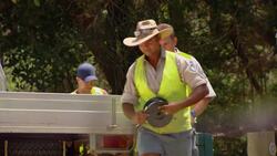 How Do Park Rangers Keep Dingos and Humans Safe? Instructional Video