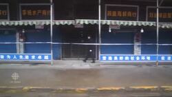 Streets of Wuhan eerily quiet amid coronavirus lockdown News Clip