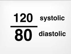 Investigating Circulation: the Flow of Blood Instructional Video