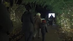 CLEAN : Animal-shaped lanterns light up for Christmas at New York's Bronx Zoo News Clip