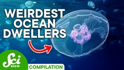 The Most Shocking Creatures at the Bottom of the Ocean Instructional Video