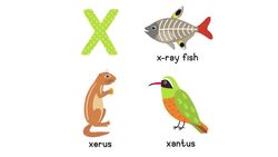 Ultimate ABCs QUIZ! Alphabet Game for Preschoolers and Toddlers Instructional Video