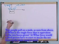 Scalers and Vectors: Solving a problem, Part 1 Instructional Video