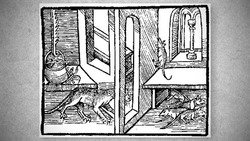 What It Was Like Being In a Medieval Castle Instructional Video