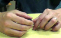 Finding Stomata Instructional Video