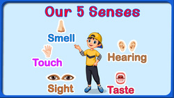 Our 5 Senses: An Exploration of Sight, Smell, Taste, Hearing, and Touch! Instructional Video