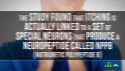 Why Do We Itch? Instructional Video